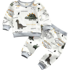 Newborn Baby Clothing Long Sleeve Dinosaur Print Sweatshirts Pullover Tops Trousers Toddler Autumn Winter Outfits Set
