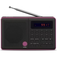 Radio pliszka usb, fm melns