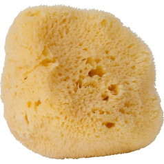 CROLL & DENECKE L140 Natural Silk Sea Sponge Hand Refined from the Sea, 14 cm, Natural, Pack of 1