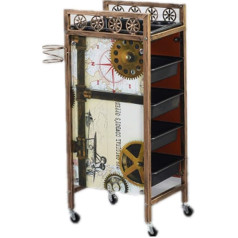 Salon Retro Hairdressing Trolley Robust Golden Frame Hairdressing Beauty Trolley Multifunctional Hair Coloring Tray with 4 Drawers & Wheels for Tool Storage 5T b