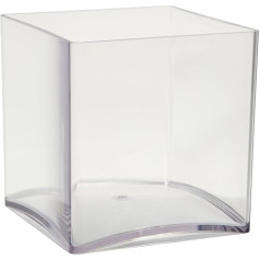 OASIS® clear acrylic cube vase (15cm) (2 Pack, Clear)