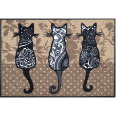Wash&Dry Door Mat, Nylon Brown, 50 cm x 75 cm
