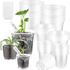 60 Pieces Transparent Plant Pots with Drainage Indoor 4