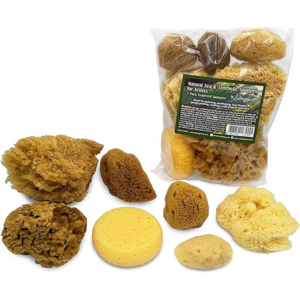 Natural Sea & Synthetic Sponges - Assorted Sizes 7pc Value Pack for Crafts & Artists: Great for Painting, Creative Hobbies, Art, Effects, Ceramics, Clay, Pottery by Lullingworth™