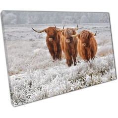 Scottish Highland Cows Natural Winter Nature Habitat Canvas Wall Art Picture Print Home Office Decor
