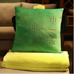 YGMXZL Cushion Blanket, Travel Blanket and Pillow 3 in 1, Travel Pillow and Blanket Set for Airplanes for Travel and Outdoor Camping (Cactus)