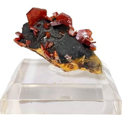 Vanadinit auf Goethit Marokko Mineral Fossil Stein Heilkristall Fossilien