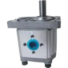 Runding Hydraulische Zahnradpumpe CBN/CBT/CBW304 306 310 314 316 320 325 Kleine Hochdruck-Ölpumpe Zahnradpumpen (CBT-CBN-F325 (20 MPA), Form-02)