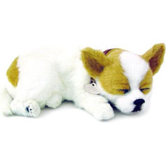 Perfect Petzzz plush dog Chihuahua, item number: 4906
