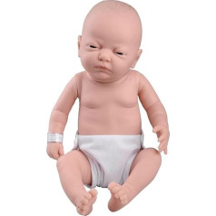 3B Scientific Caucasian Female Baby Care Model W17001