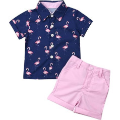 Toddler Kids Boys 2 Piece Outfits Farm Circus Cartoon Animal Print Short Sleeve Shirts Casual Shorts Set Summer Outfits