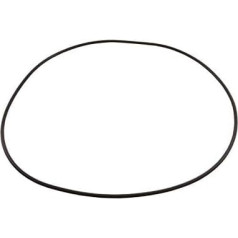 Waterway Plastics 805-0460 Clearwater II Lid O-Ring