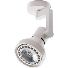 Heavy Duty Adjustable 20W/30W Spotlight Detachable COB Light Source 360° Rotation Technical Data: Energy Saving Highlight (Color : 3000k Warm Light, Size : 20W)