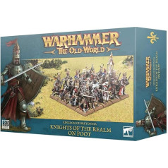 Warhammer Tow - Kingdom of Bretonnia Chevaliers