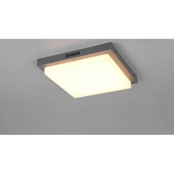 Trio Leuchten Bermejo 630369242 LED Outdoor House Number Light Die-Cast Aluminium Anthracite Plastic White Includes 14 Watt LED, Motion Sensor, Light Colour Adjustable