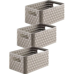 Rotho Country Set of 3 Storage Boxes 6 L in Rattan Look, Plastic (PP) BPA-Free, Beige, 3 x A5/6 L (28 x 18.5 x 12.6 cm)