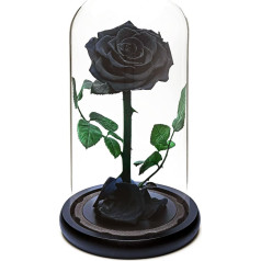 INTIGNIS Eternal Rose Forever, Fresh Rose Gift, Preserved for 5 Years, Handmade, Gifts for Women Birthday Unique Unusual | Mother's Day, Anniversary, Christmas, Valentine's Day