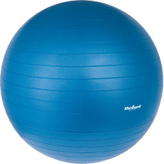 Rehabilitācijas vingrošanas bumba 55cm ar rokas sūkni, zilā krāsā , ACTIVE