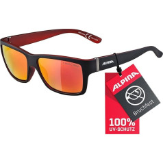 ALPINA Sunglasses