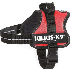 Julius-K9 162R1 K9 power harness, size: 1, red