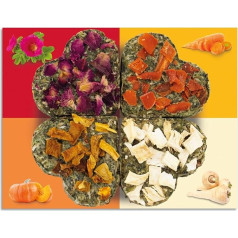 JR FARM Grainless Lucky Quartet 60g