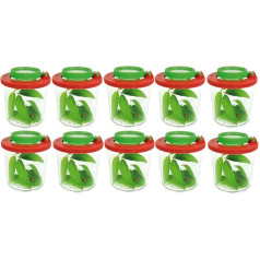 10 x Magnifying Glasses for Little Researchers and Explorers in Nature, Set of 10, XL Pack