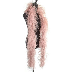 2 Meters 1 Thread 2 Ply 4 Ply 6 Ply 10 Count Black Ostrich Feather Boa for Party Dress Decoration Fluffy Ostrich Feather Boas Frather (Color : Light Grey, Size : 4-Ply ) - 10 Count - Vail Pi