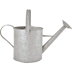 Fallen Fruits 3.5 Litre Old Zinc Watering Can