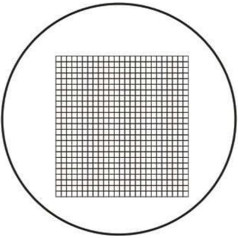 Microscope Accessories Kit, Slide Prep Camera, 22mm Diameter, Micrometer Scale, Microscope, Optical Eyepiece for Microscope, Microscope Accessories