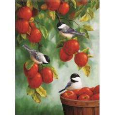 Puzzle 1000 Teile Tiervögel Kunstposter Puzzle für Erwachsene Familiendekompressionsspiele Gt355Zw 50x70CM