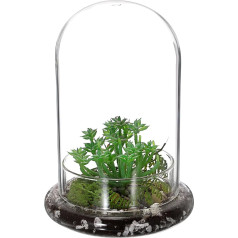 OGA Mini Plant Terrarium Glass Succulent Pot, Clear Glass Dome with 3 mm Air Hole, Decorative Glass Bell with Glass Base, Table Decoration Gift for Office, Study, Living Room (14.5 x 21 cm, No