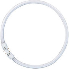 Osram 22 Watt Lumilux T5 Fluorescent Lamp Socket