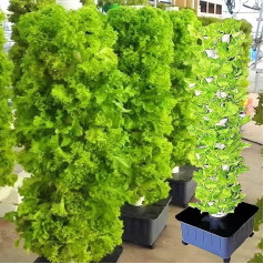 15 Layers, 45 Plant Locations, Hydroponic Growing, Soilless Hydroponic Tower Growing System, Aquaponics Growing System, Removable PP Colonization Cups