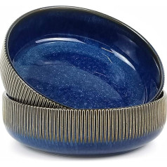 Set of 2 Porcelain Salad Bowl, Ceramic Soup Bowl, Large Ramen Bowl, Noodle Bowl, Breakfast Cereal Dessert Bowl, Oatmeal Bowl, Fruit Bowl, Serving Bowl, Blue, 1500 ml