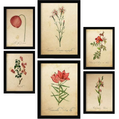 Red Flowers Posters. Full Color Nature and Botany Prints with Floral Motifs in Vintage Paper Style. Interior Design and Decoration. A4 & A3