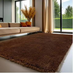 Sour Lemon Rugs for Living Room Bedroom Washable Non-Slip Extra Large Shaggy Soft Fluffy Modern Floor Rug Mat Next Rugs for Kids Room