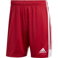 Tastigo 19 Šorti M DP3681 / L