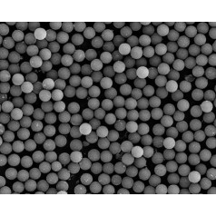 Alpha Nanotech Magnetic Pebble Beads (10um, 10mg/ml, 10ml)