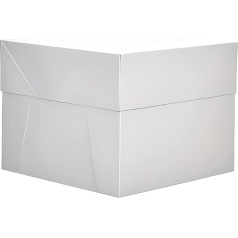 GLOTOMANIA - Quadratische Kuchenbox, weiß, 30 cm (10)