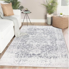 Famibay Grey Rug for Living Room, Bedroom - Soft Fluffy Boho Rug, Non-Slip, No Shedding, Washable - Floor Mats for Kitchen, Hallway