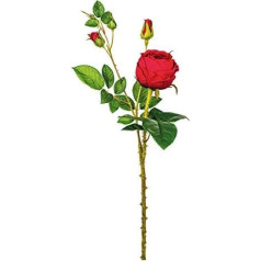 EUROCINSA Ref.68397C20 Half Berry with 4 Red Hair, Box of 12, Red, 54 cm