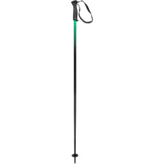 HEAD Unisex Adult Frontside Black Green Ski Poles, Black/Green, 130