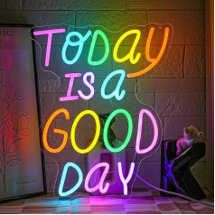 LMSIGNLY Heute ist ein guter Tag Neon Sign Letter Neon Light Colourful Words Neon Light Sign Motivation LED Light Sign for Bar Cafe Restaurant Office Living Room