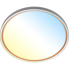 BRILONER - LED Ceiling Light with Remote Control, Dimmable, CCT Warm White to Cold White, LED Lamp, Ceiling Light, Living Room Lamp, Kitchen Lamp, Ceiling Lighting, Hallway Lamp, 49 x 6.5 cm