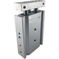 Pneumatischer Doppelzylinder Doppelstangen-Doppelwellenzylinder Bohrung 6/10/15/20/25/32 Pneumatische Ausrüstung(CXSM20-175)