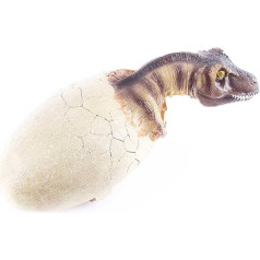 AXIKALB Dinosaurier-Eier, Knochen, Fossilien, Totenkopf, Harz, Schlüpfeier, Kunsthandwerk-Ornamente