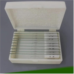 Zubehör für Labormikroskope 10 Stück professionell vorbereitete mikrobielle Objektträger for die wissenschaftliche Biologieforschung