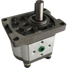 KIRANDY Gear Pump Gear Pump Hydraulic Oil Pump CBT-G310 G314 G306 G320 G325 G316 (Color : CBT-G316)