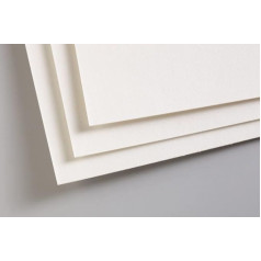 Clairefontaine 696010C Parquet Paper Pastelmat - 5 Feuilles Carte Spéciale pour Pastels Secs - A3 29.7 x 42 cm 360 g - White