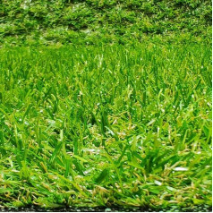 Tadi & Imperio1979 Roll Artificial Grass Carpet Patio Garden 20mm Height (100 x 800cm)